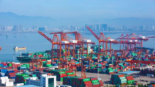 厦门口岸营商环境持续提升 半年内再获国家口岸办点赞，展现国际贸易新标杆